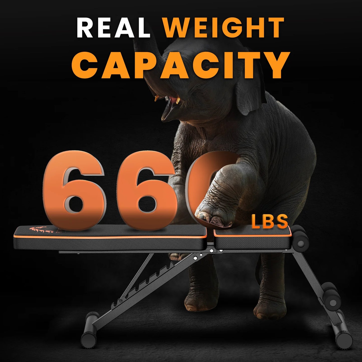 Weight Bench Adjustable Full Body Exercise Folding Fitness Workout Bench with 7 Positions Exercise Bench for Weight Lifting