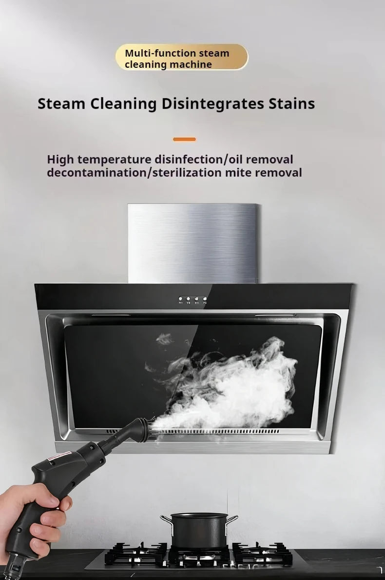 Steam Cleaner High Temperature Sterilization Air Conditioning Kitchen Hood Home /Car Steaming Cleaner 220V EU Plug