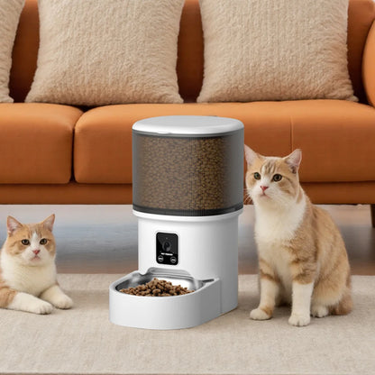 4L USB Smart Button WIFI APP Video Pet Feeder Automatic Cat Food Dispenser Bowl Dog Slow Food Feeder With Timed Camera Feeder
