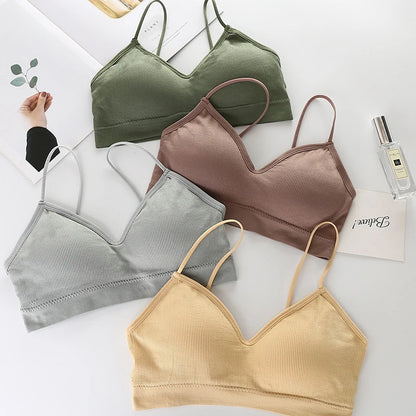 Solid Color Breathable Gym Sports Bra