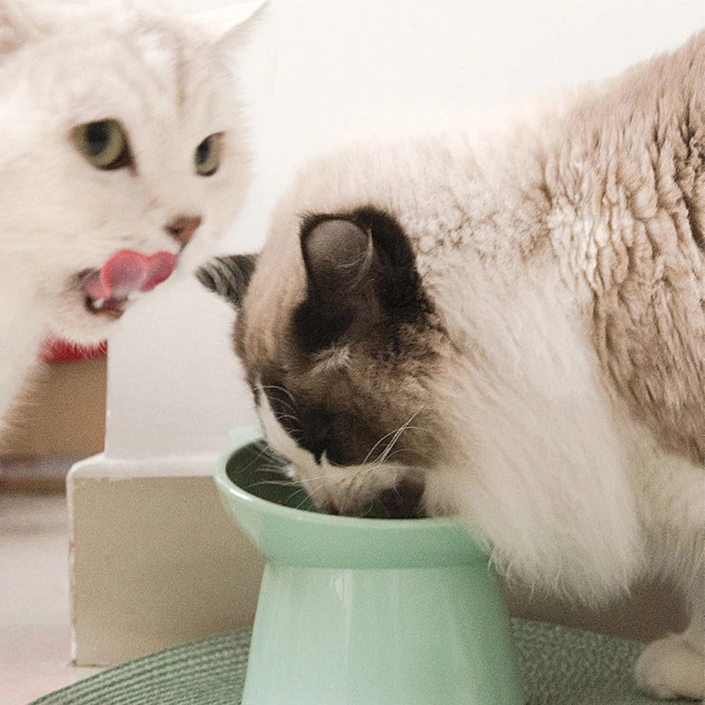 Tilted Cat Food Bowl Elevated Cat Bowl Ergonomic Raised Cat Food Bowl Anti Vomiting Tall Dog Bowl Non Slip for Flat- Faced Cats