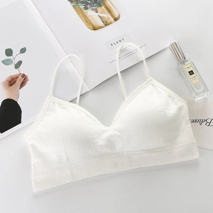 Solid Color Breathable Gym Sports Bra