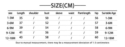Ins Newborn Baby Girl Clothes Summer Suspenders Romper Triangle Jumpsuit Flower Embroidery Toddler Strap Bodysuit 0-18 Months